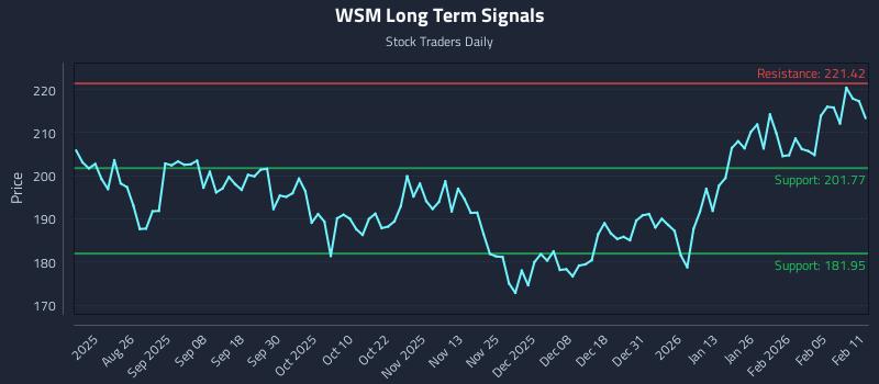 WSM Long Term Analysis for February 11 2026