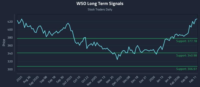 WSO Long Term Analysis for February 11 2026