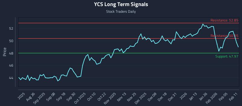 YCS Long Term Analysis for February 11 2026