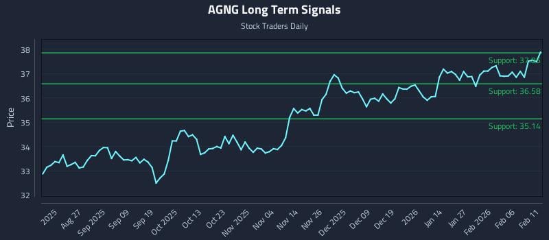 AGNG Long Term Analysis for February 12 2026