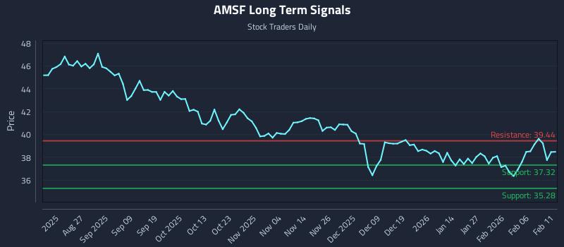AMSF Long Term Analysis for February 12 2026 AMSF Long Term Analysis for February 12 2026