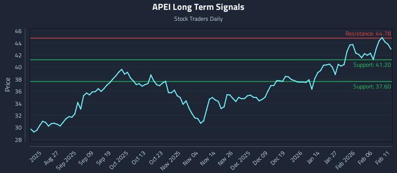 APEI Long Term Analysis for February 12 2026