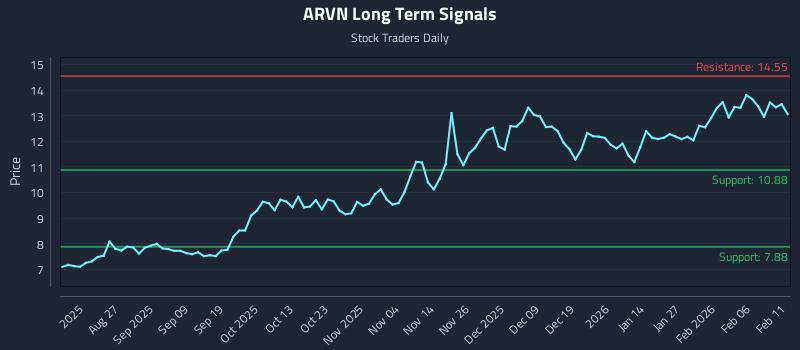 ARVN Long Term Analysis for February 12 2026