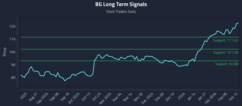 BG Long Term Analysis for February 12 2026