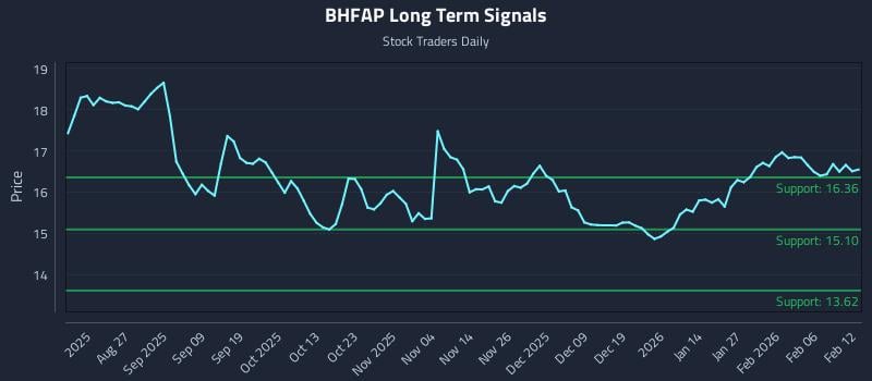 BHFAP Long Term Analysis for February 12 2026