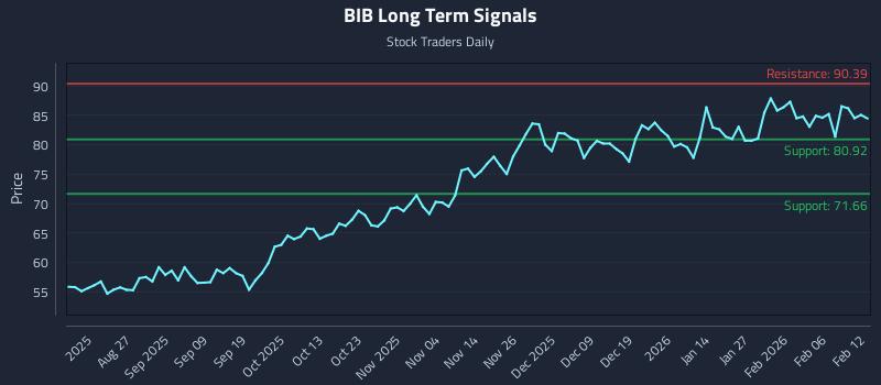 BIB Long Term Analysis for February 12 2026