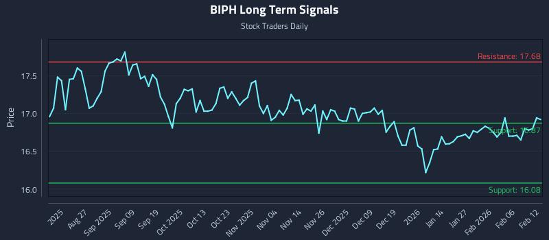 BIPH Long Term Analysis for February 12 2026