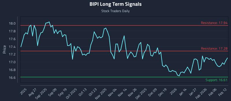 BIPI Long Term Analysis for February 12 2026