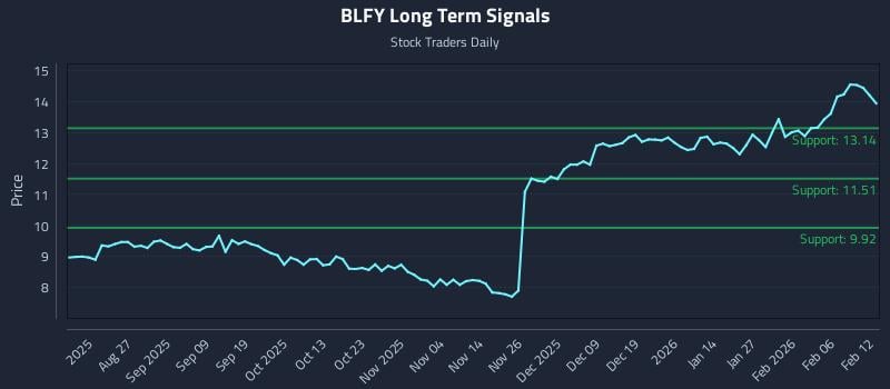 BLFY Long Term Analysis for February 12 2026