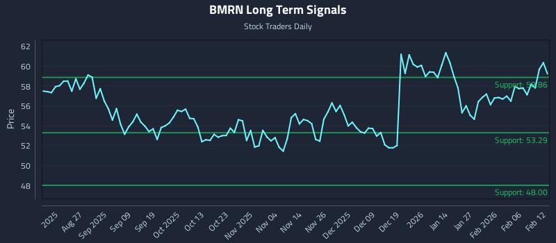 BMRN Long Term Analysis for February 12 2026