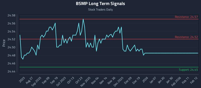 BSMP Long Term Analysis for February 12 2026