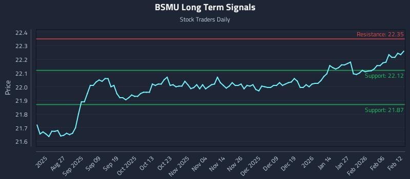 BSMU Long Term Analysis for February 12 2026 BSMU Long Term Analysis for February 12 2026