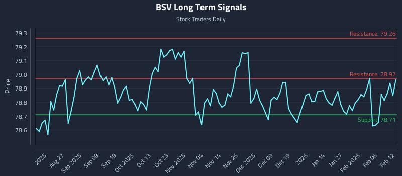 BSV Long Term Analysis for February 12 2026