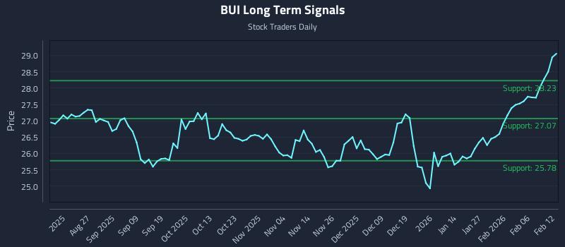 BUI Long Term Analysis for February 12 2026