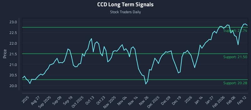 CCD Long Term Analysis for February 12 2026