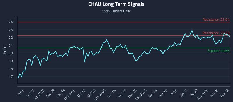 CHAU Long Term Analysis for February 12 2026