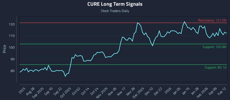 CURE Long Term Analysis for February 13 2026