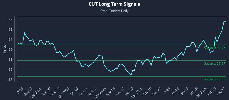 CUT Long Term Analysis for February 13 2026