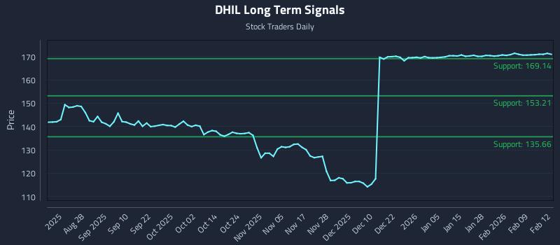 DHIL Long Term Analysis for February 13 2026