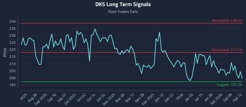DKS Long Term Analysis for February 13 2026