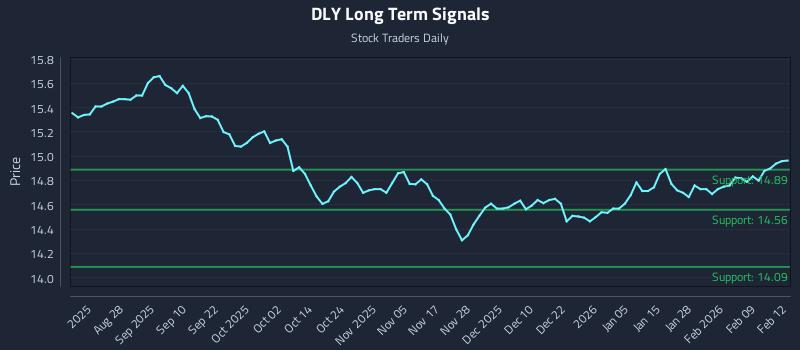 DLY Long Term Analysis for February 13 2026