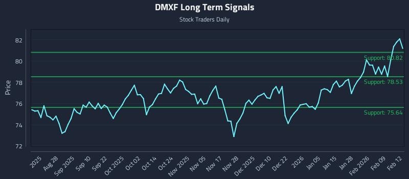 DMXF Long Term Analysis for February 13 2026