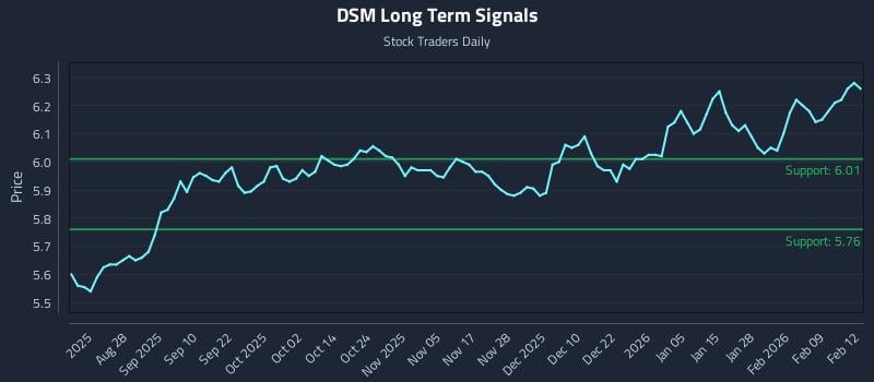DSM Long Term Analysis for February 13 2026 DSM Long Term Analysis for February 13 2026