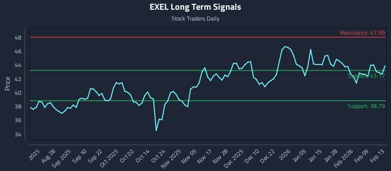 EXEL Long Term Analysis for February 13 2026 EXEL Long Term Analysis for February 13 2026