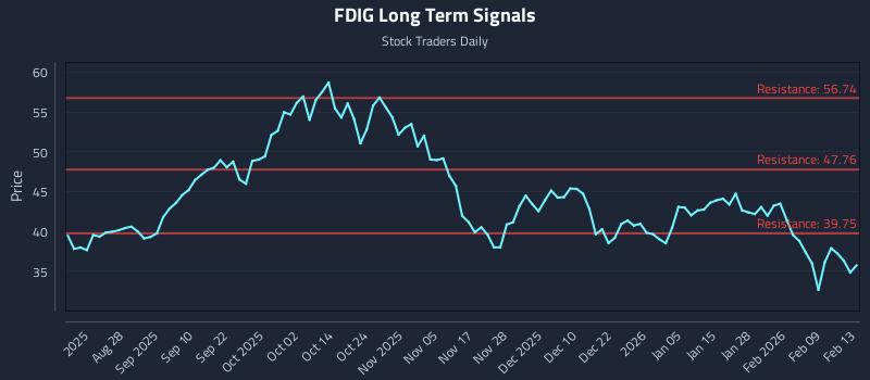 FDIG Long Term Analysis for February 13 2026
