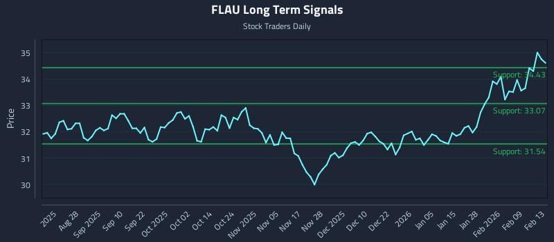 FLAU Long Term Analysis for February 13 2026