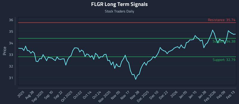 FLGR Long Term Analysis for February 13 2026