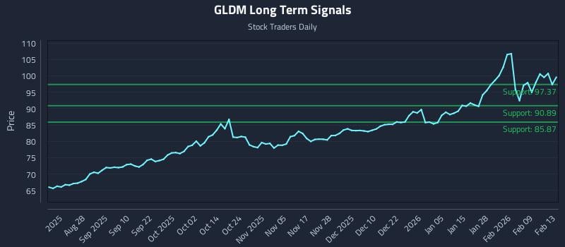 GLDM Long Term Analysis for February 14 2026