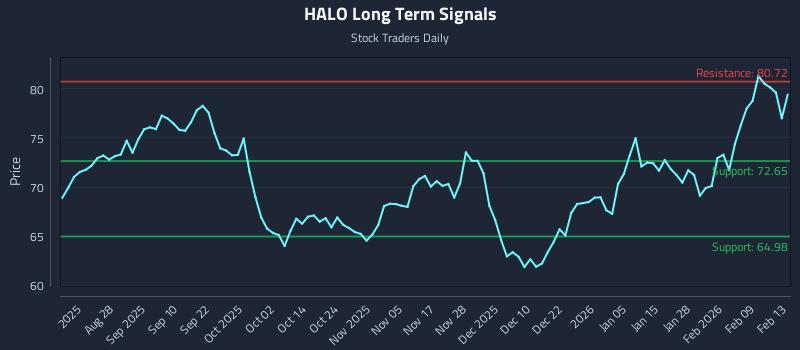 HALO Long Term Analysis for February 14 2026 HALO Long Term Analysis for February 14 2026