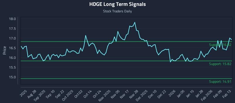 HDGE Long Term Analysis for February 14 2026 HDGE Long Term Analysis for February 14 2026