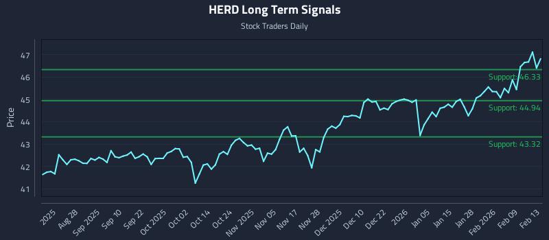 HERD Long Term Analysis for February 14 2026