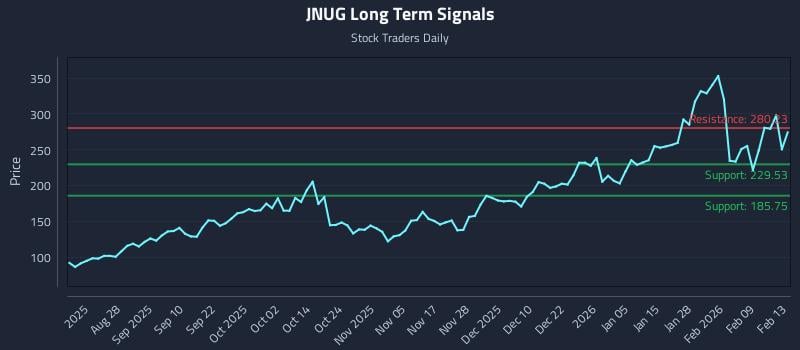 JNUG Long Term Analysis for February 14 2026