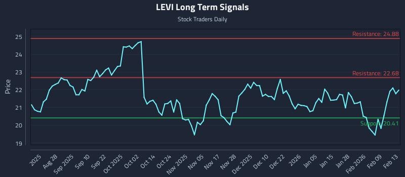 LEVI Long Term Analysis for February 14 2026