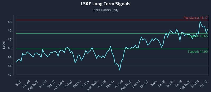 LSAF Long Term Analysis for February 14 2026