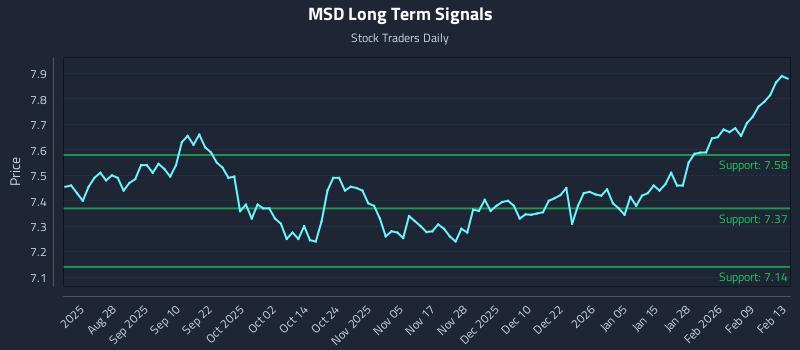 MSD Long Term Analysis for February 15 2026