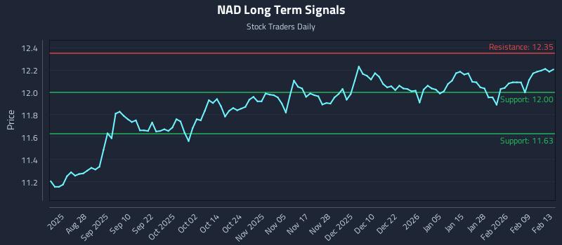 NAD Long Term Analysis for February 15 2026