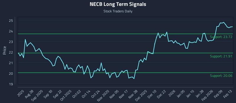 NECB Long Term Analysis for February 15 2026