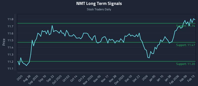 NMT Long Term Analysis for February 15 2026