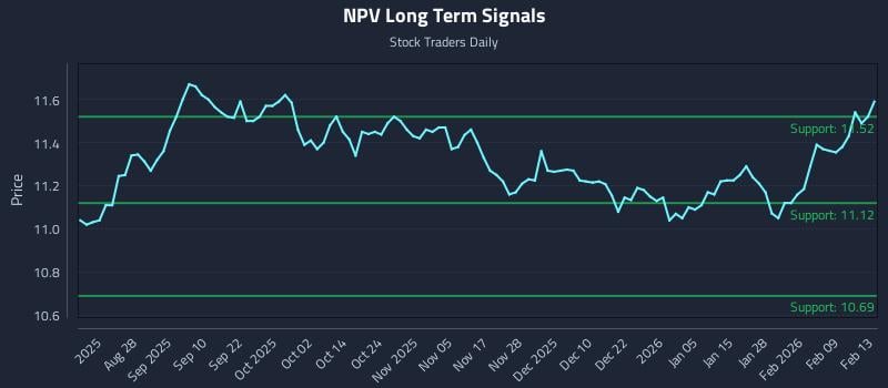 NPV Long Term Analysis for February 15 2026