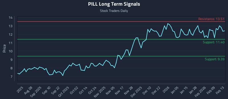 PILL Long Term Analysis for February 15 2026