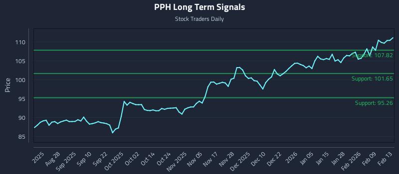 PPH Long Term Analysis for February 15 2026