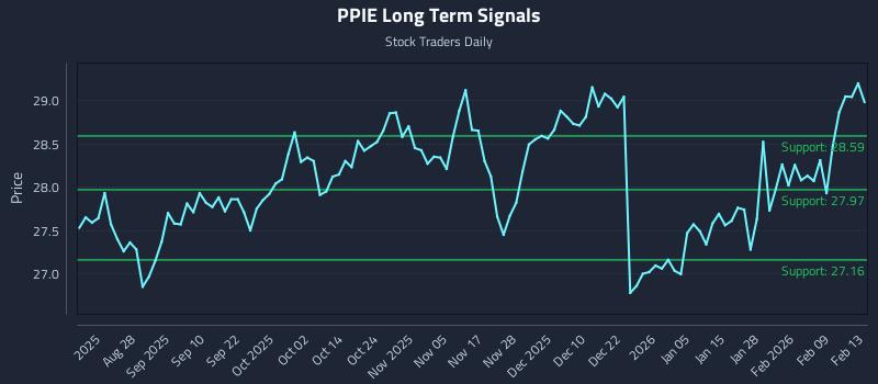 PPIE Long Term Analysis for February 15 2026