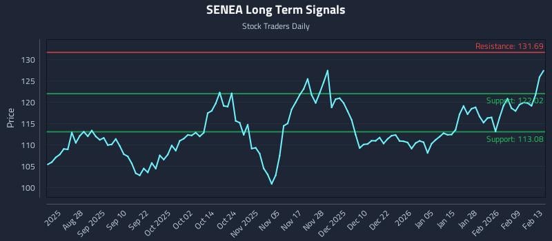 SENEA Long Term Analysis for February 16 2026 SENEA Long Term Analysis for February 16 2026