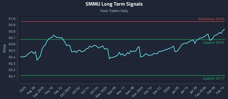SMMU Long Term Analysis for February 16 2026