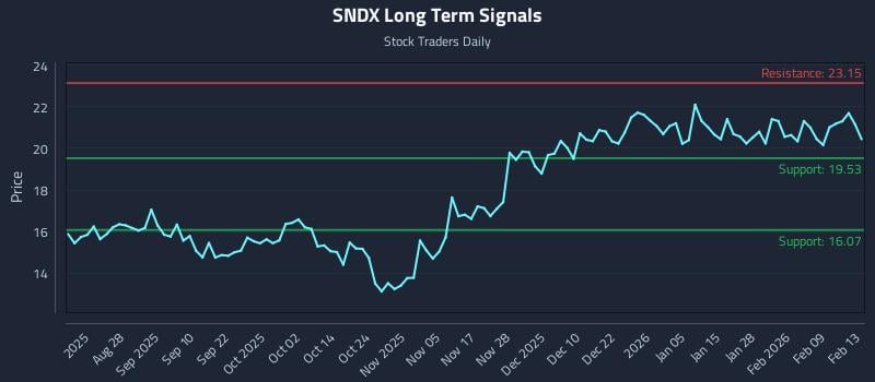 SNDX Long Term Analysis for February 16 2026 SNDX Long Term Analysis for February 16 2026