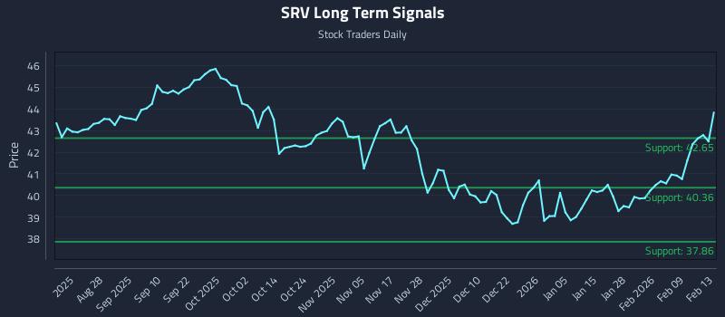 SRV Long Term Analysis for February 16 2026